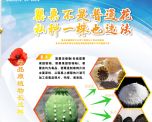 “禁毒宣传进万家”系列·禁种铲毒——罂粟不是普通花 私种一株也违法